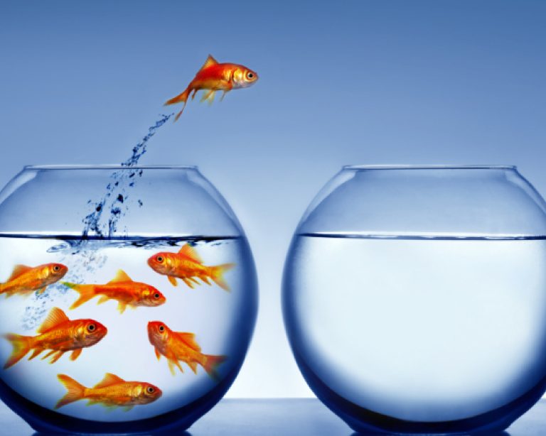 What Does Jihad Mean